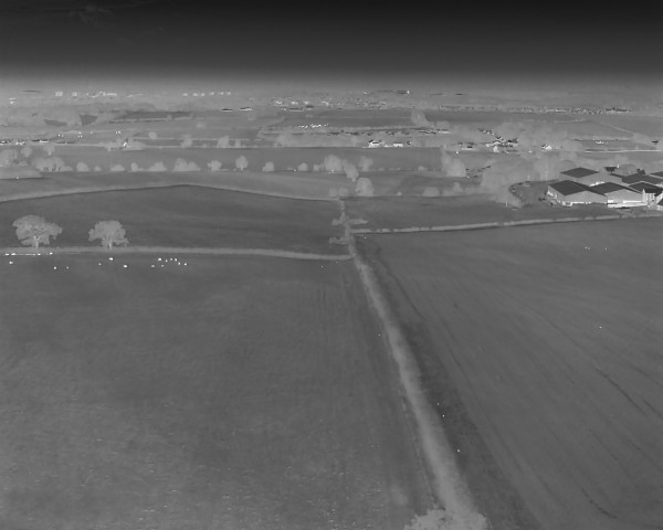 Image taken from a drone showing thermal imagery of a field