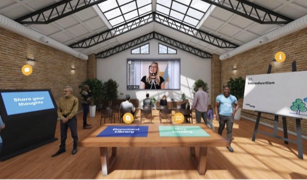 Screen shot from one of the seven virtual consultation rooms