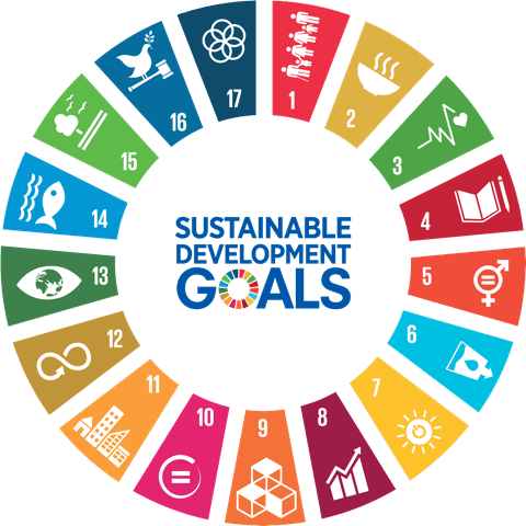 Sustainable development goals logo