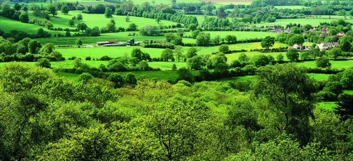 aylesbury vale 49948389696 o