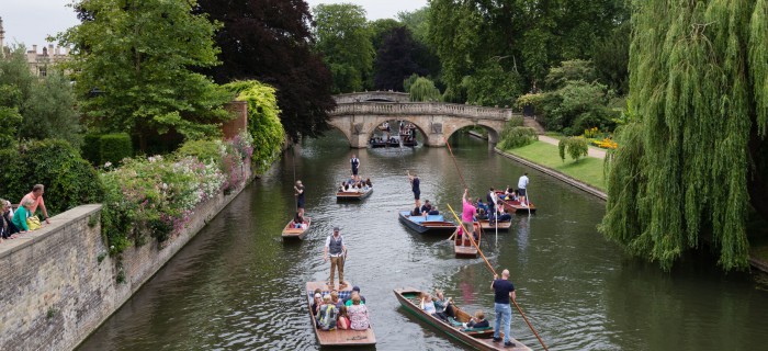Punting Image