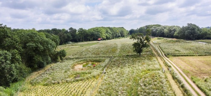 MicrosoftTeams image 2